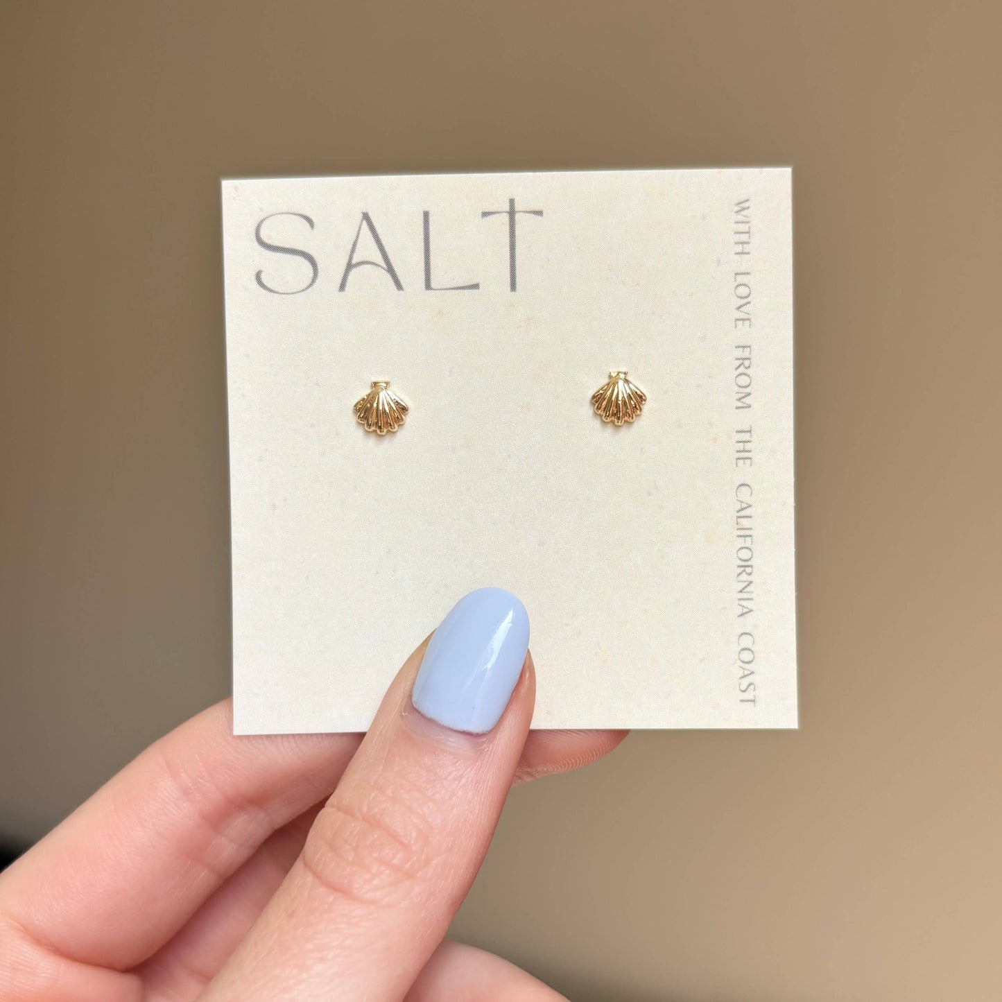 SEASHELL STUDS | 18K gold | dainty shell stud earrings