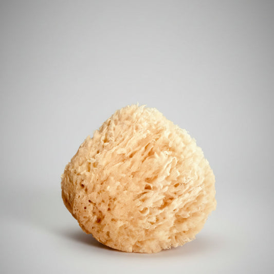 Natural Dead Sea Sponge