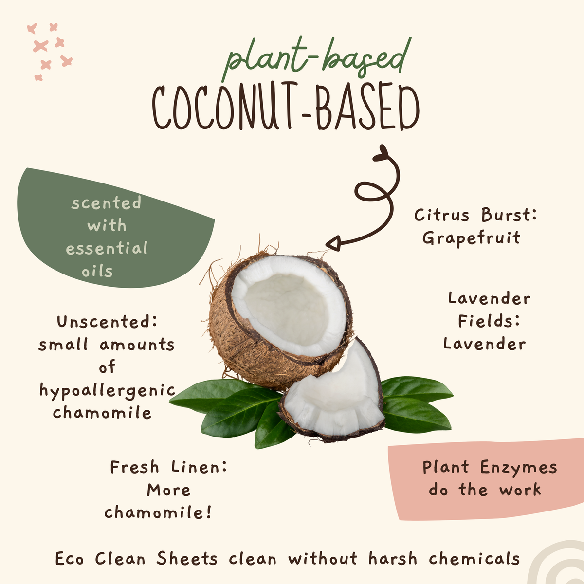 Eco Clean Sheets laundry detergent ingredients featuring coconut and essential oil scent options